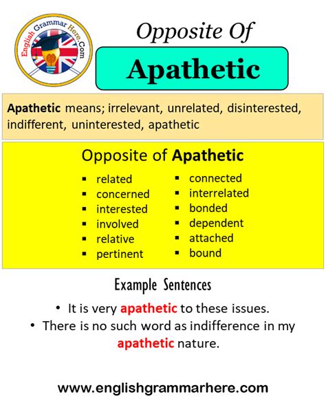 antonyms for apathetic|apathetic definition synonyms.